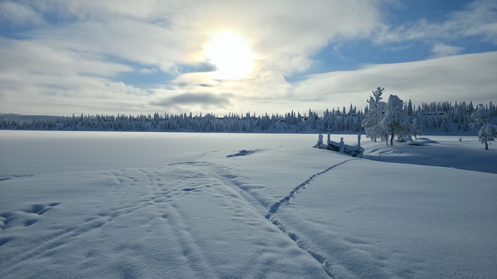 Sjusjøen hytteutleie
